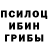 Псилоцибиновые грибы GOLDEN TEACHER Vlad Staruh
